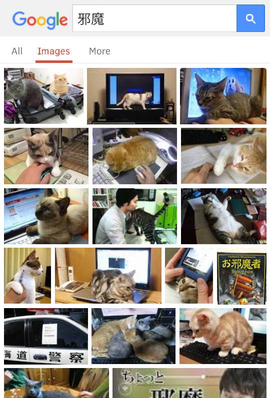 Screenshot of a google image search. Most results are cats sitting on keyboards or mice, one is of a board game named "Saboteur"