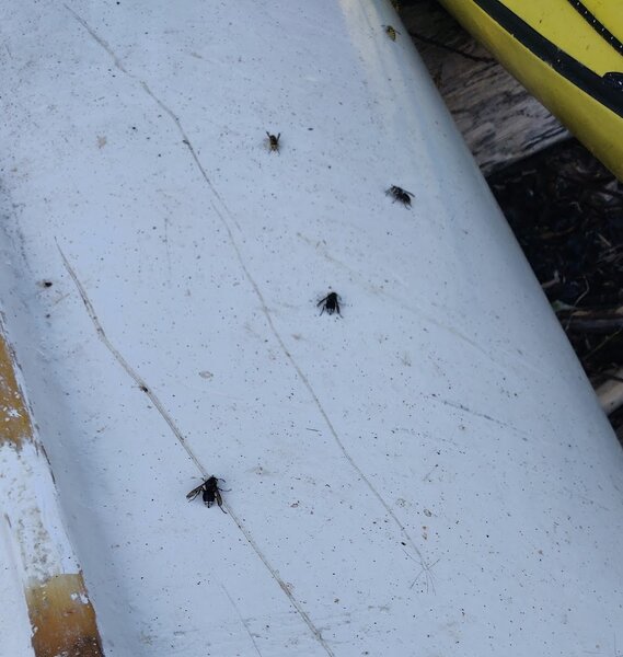 TODO