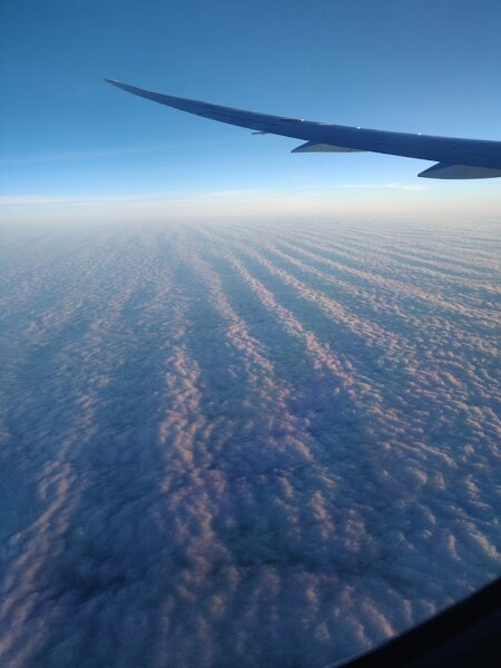 View from a plane window of the wing and wavy clouds at sunset (or sunrise)